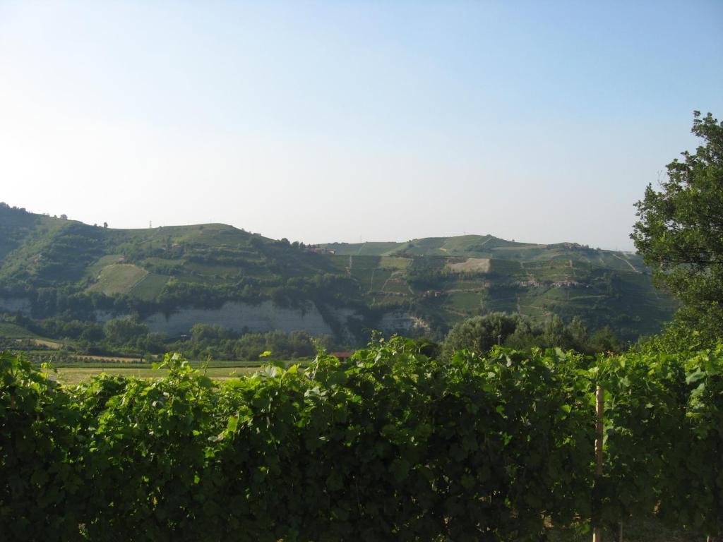 Agriturismo Cascina Serra Cossano Belbo Room photo